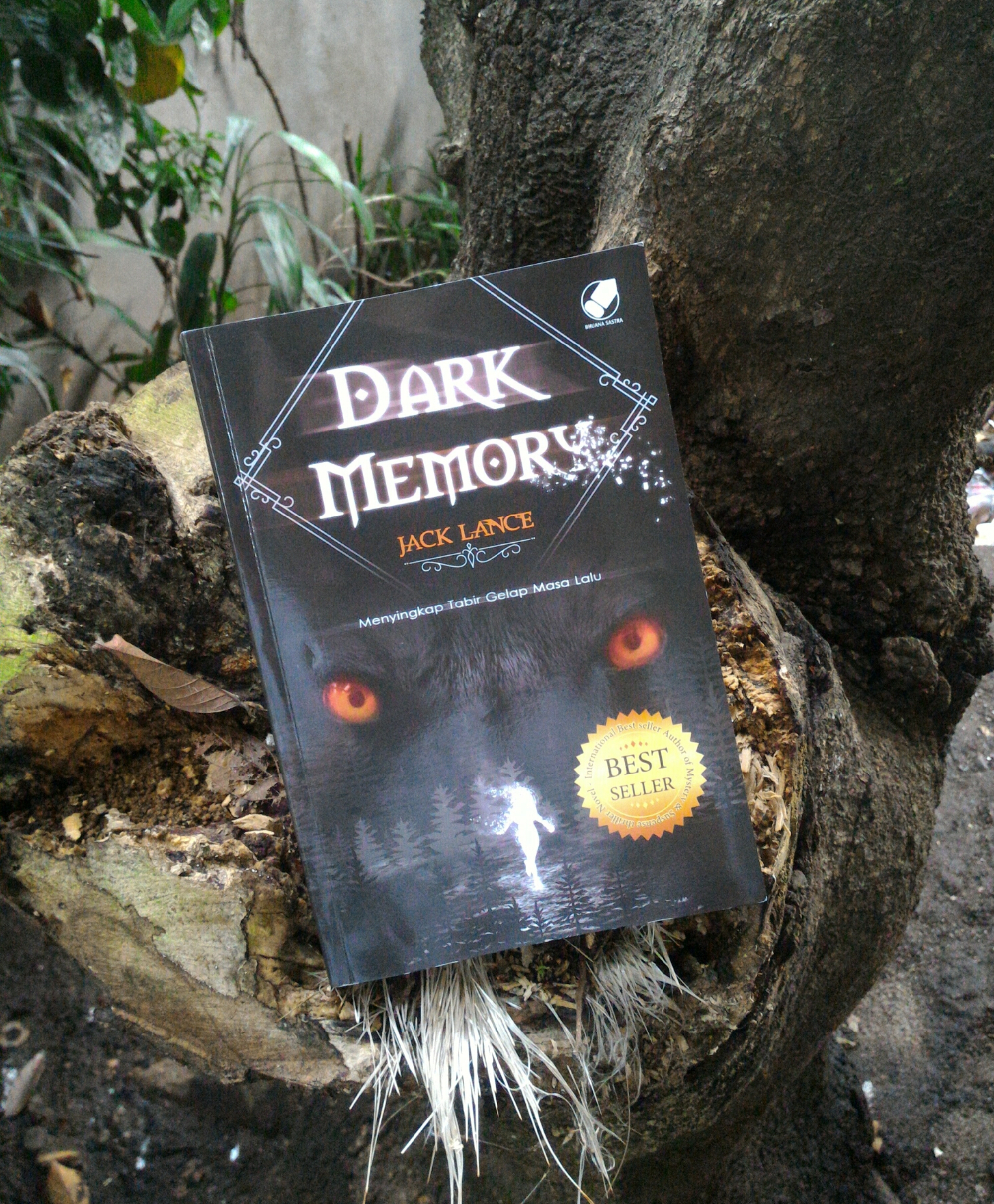 Dark Memories. Dark memory